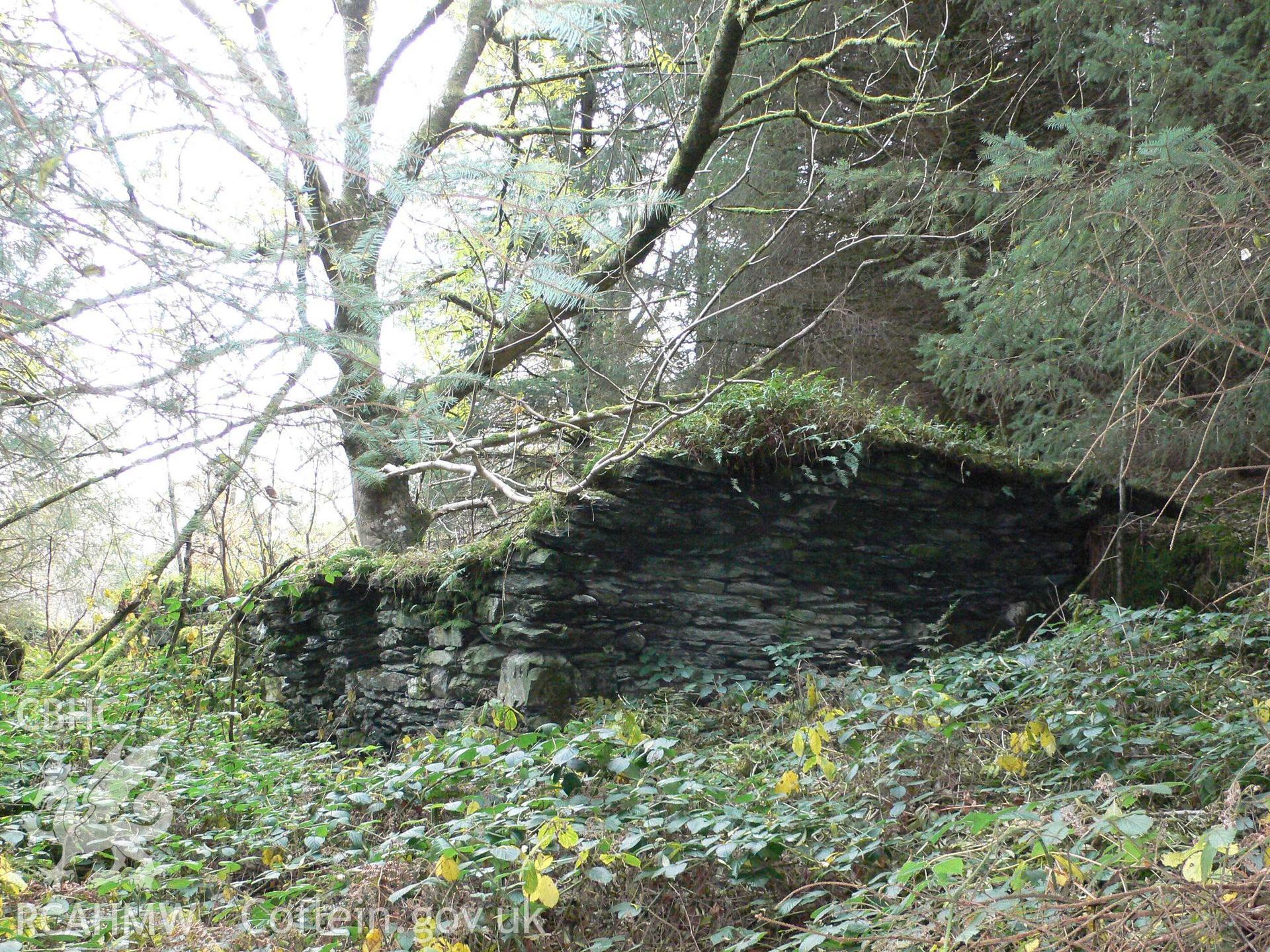 Digital colour photograph of Buarth Tanyreglwys, Bro Machno taken by David Howarth, October 2007.